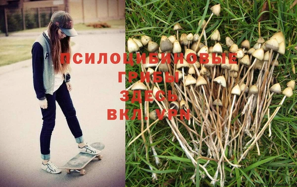 молекула духа Баксан