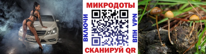 Псилоцибиновые грибы мицелий MEGA tor Сосногорск цена